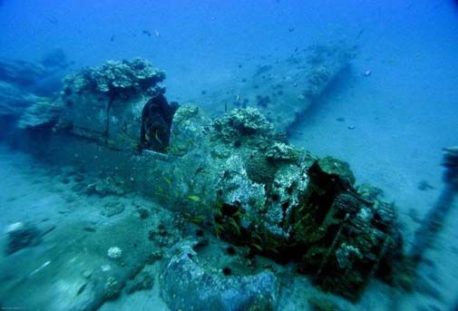Helldiver-505.jpg