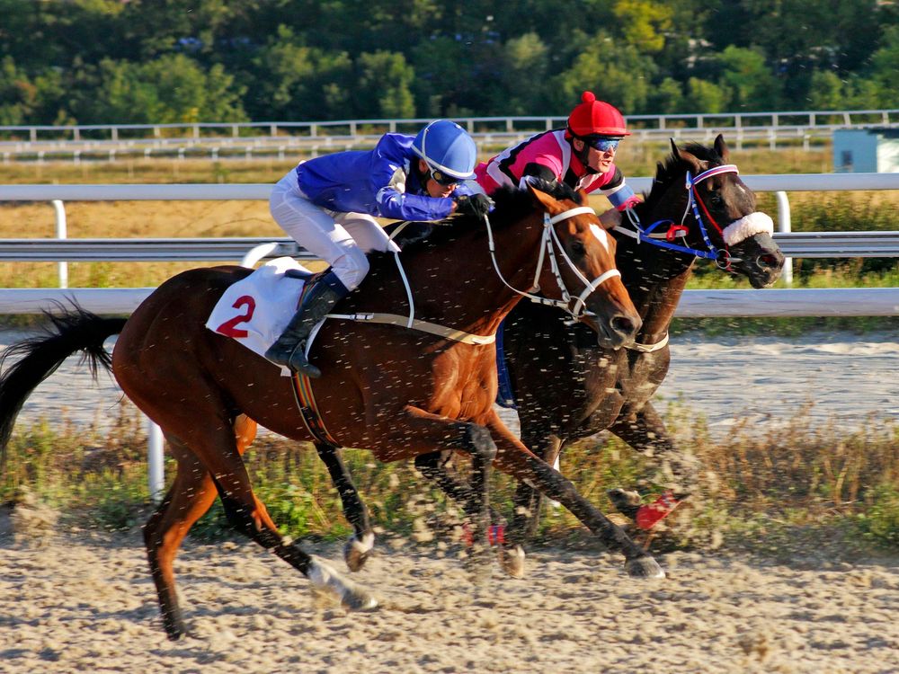 Even Mild Cases of Asthma Can Slow Down Elite Racehorses