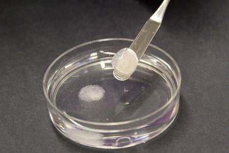 The team has applied for a patent for the material (shown here in a petri dish) and continues to test it at the micro- and nano-scale to better understand how it works.