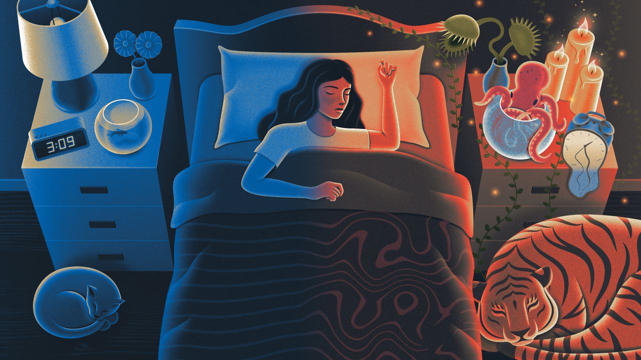 sleeptransitions-