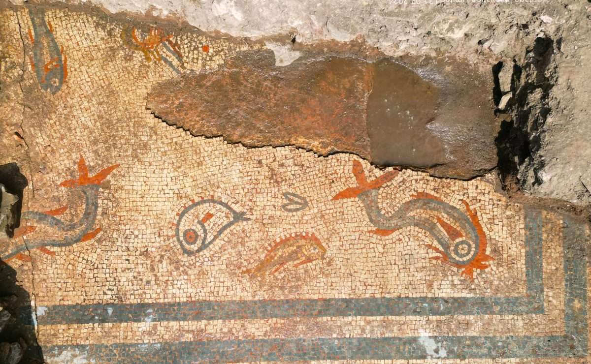 Archaeologists Stumble Upon a 2,000-Year-Old Dolphin Mosaic in England