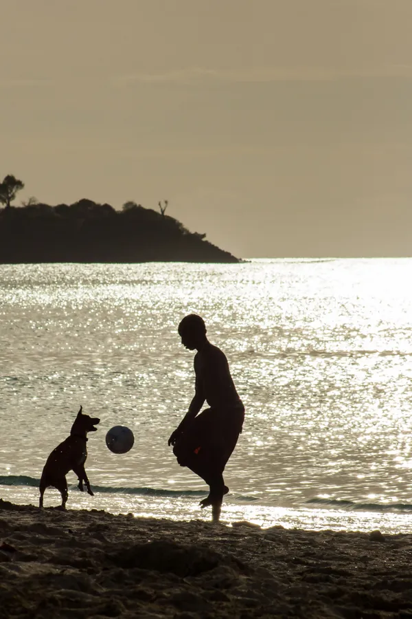 A Boy, A Dog, A Soccer Ball thumbnail