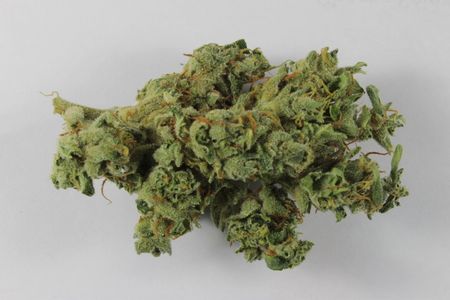 Marijuana buds are often two to three times as potent as they were 30 years ago.
