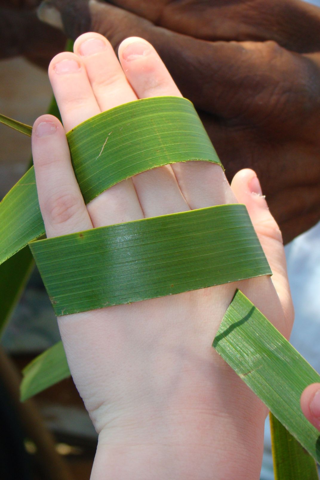 A photograph of my daughters hands whilst she is being taught to weave sweetgrass fish in the