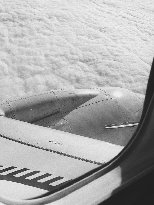 View from tha airplane. Black and white. thumbnail