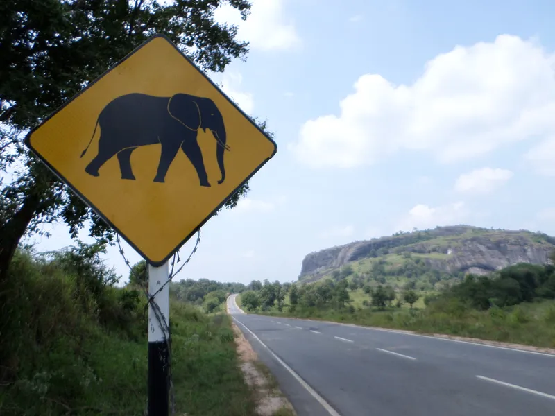 Elephant Pass Smithsonian Photo Contest Smithsonian Magazine
