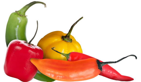 Group of red, yellow, orange, green peppers. (Biomuseo)
