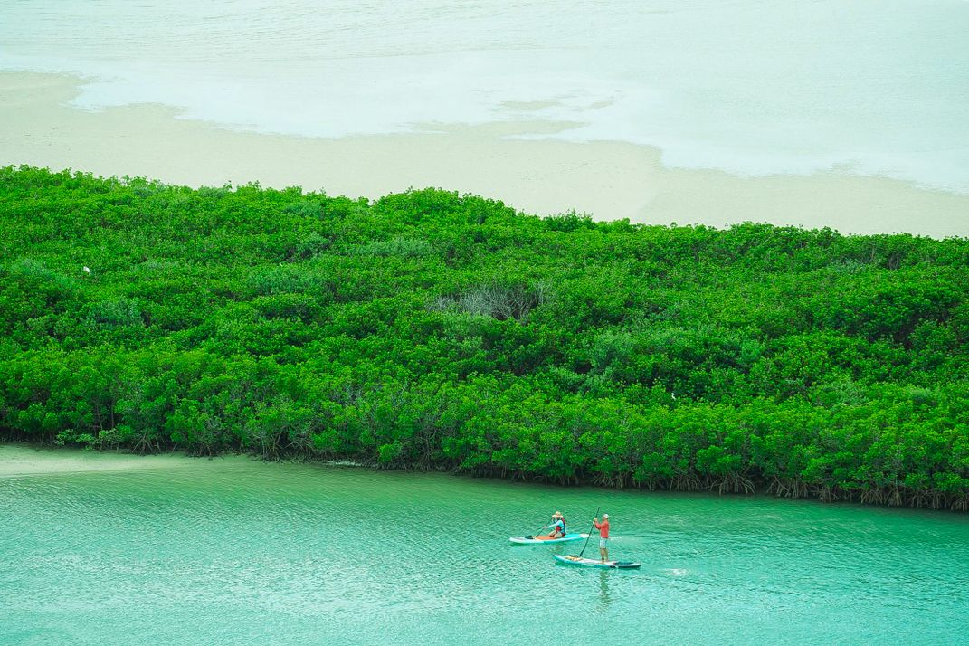 Florida Float | Smithsonian Photo Contest | Smithsonian Magazine