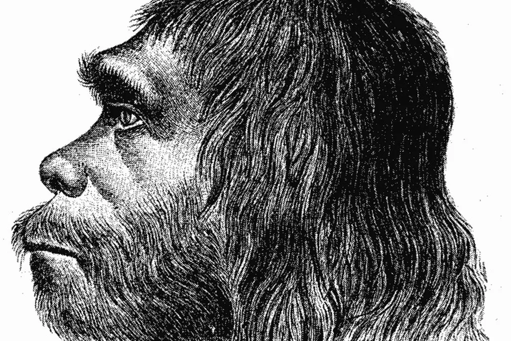 20121025034023neanderthal.jpg