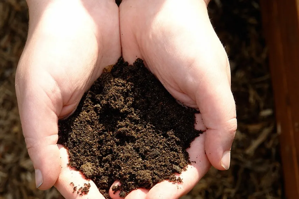 20130212011020dirt.jpg