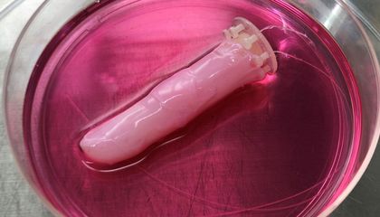 How Humanlike Do We Really Want Robots to Be?