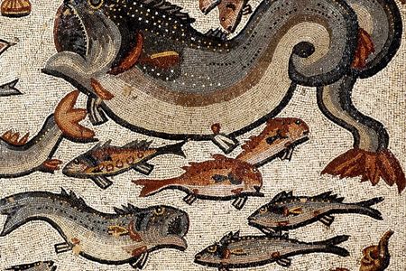 This mosaic featuring fish was likely laid down in A.D. 300 in what is now the Israeli town of Lod.