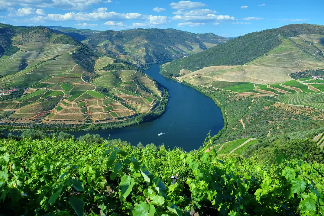 Landscape of vineyards along the Douro River