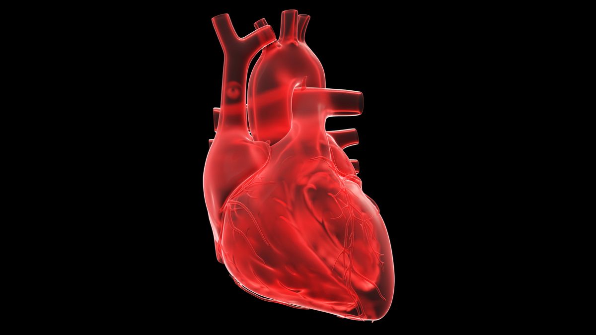 Siddarth Nandyala wants to put his tool in the hands of medical professionals so that they can catch cardiovascular abnormalities in their early stages. #WorldH