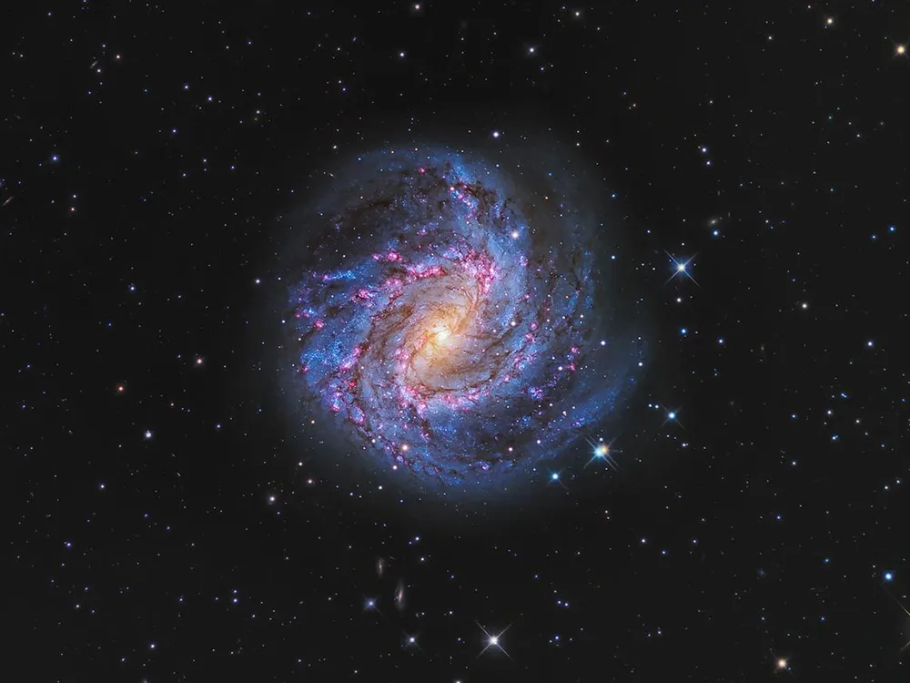 Hydra’s Pinwheel by Peter Ward - Astronomy Photographer of the Year 2022 Galaxies