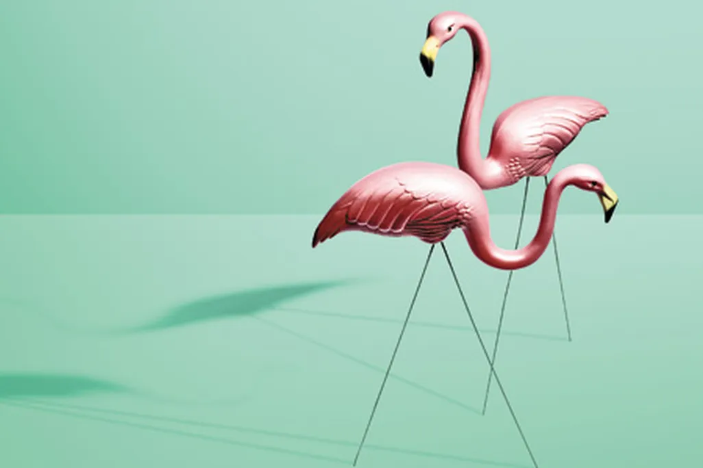Plastic Flamingos