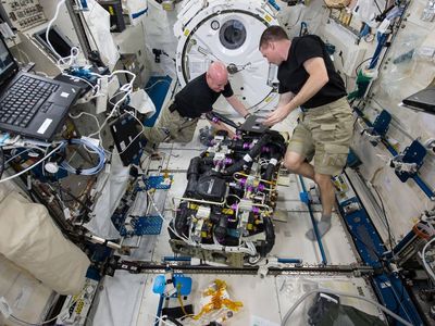 NASA astronauts Scott Kelly (left) and Terry Virts (right) work on a day’s task on board the International Space Station