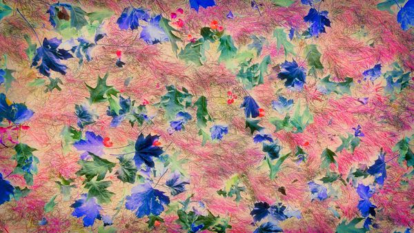 Dream of a painted wind thumbnail