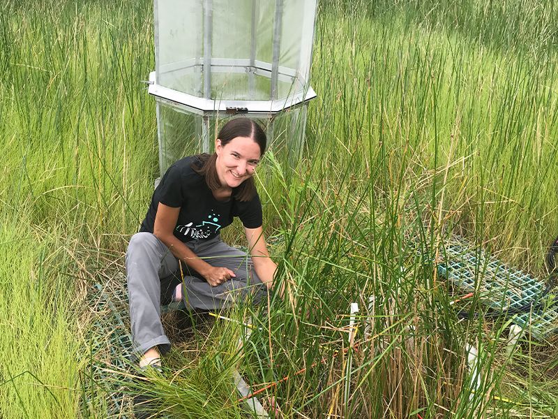 a woman crouching in a wetland setting