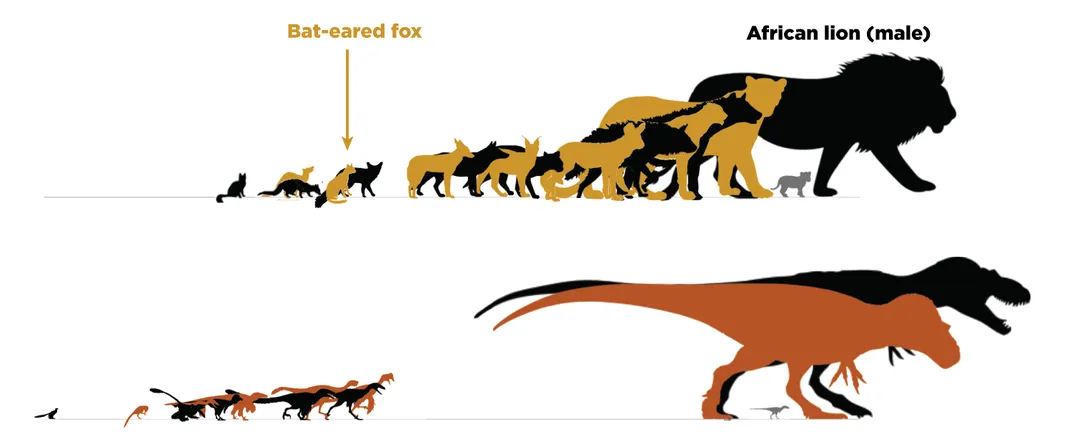 carnivorous dinosaurs size chart