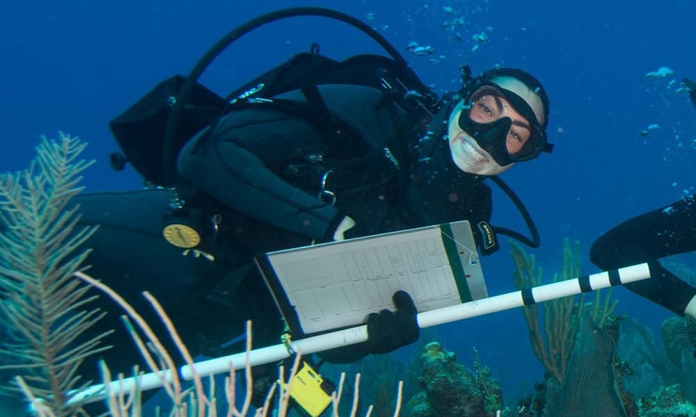 Diver underwater taking notes on a clipboard