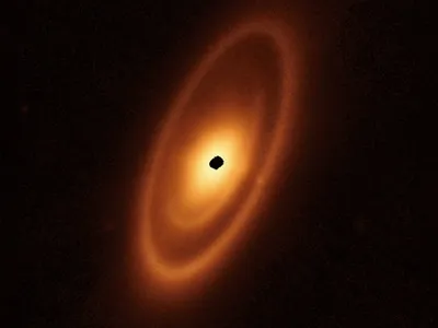 Dusty debris discs surround the young star Fomalhaut. The two innermost asteroid belts had never been seen before Webb revealed them.