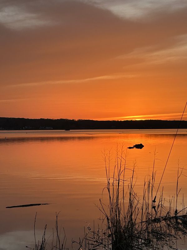 Saffron Sunset thumbnail