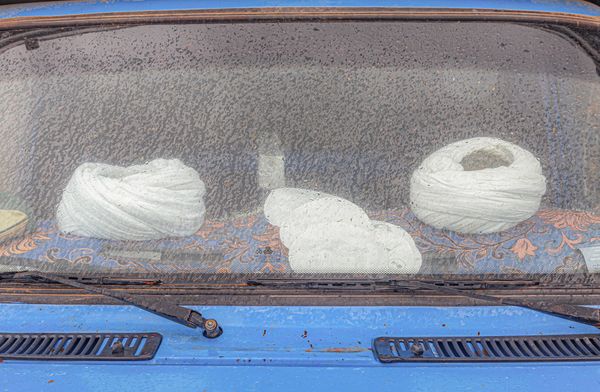 Untitled (62) thumbnail