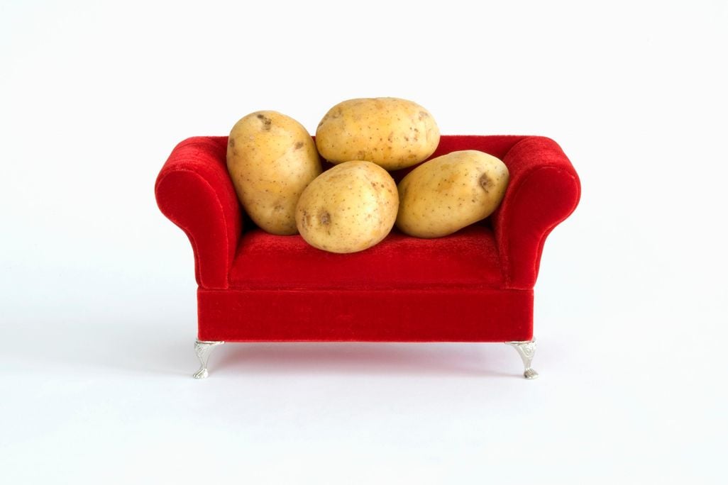 literal couch potatoes