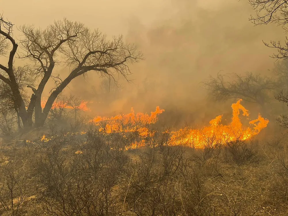 A fast-moving orange wildfire blaze moves through dry brush and trees in the Texas Panhandle