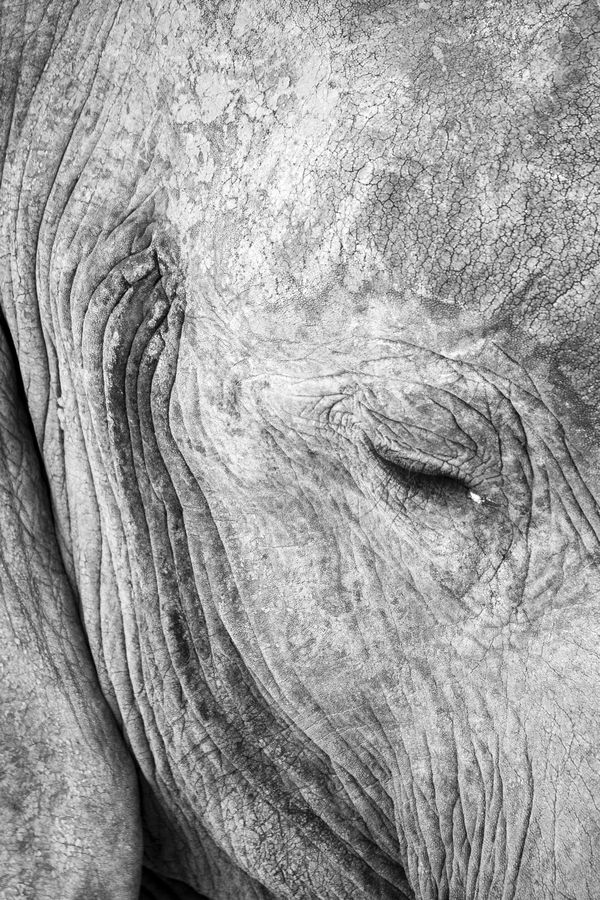 Lines of age thumbnail