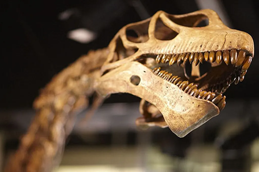 20110520083124000498-a-13-co.jpg