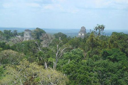 The top of the Great Pyramid is flat, providing a truly panoramic view. From this spot, visitors can also hear the wails of howler monkeys in the jungle that separates the Grand Plaza and the "Lost World."