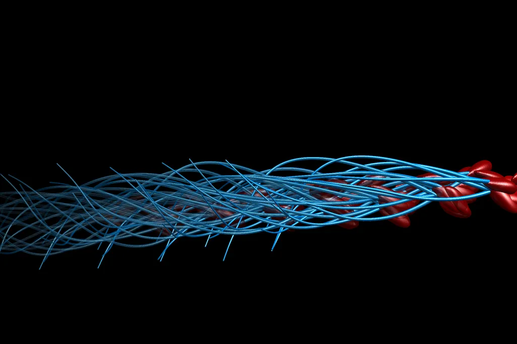 Sperm Illusion