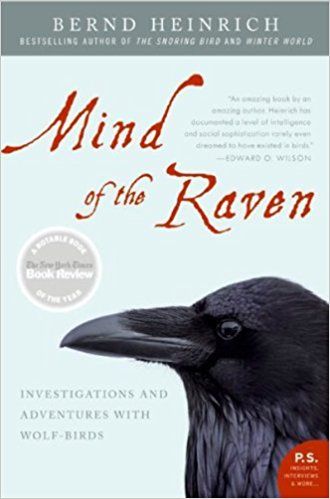 Mind of the Raven: Investigations and Adventures with Wolf-Birds