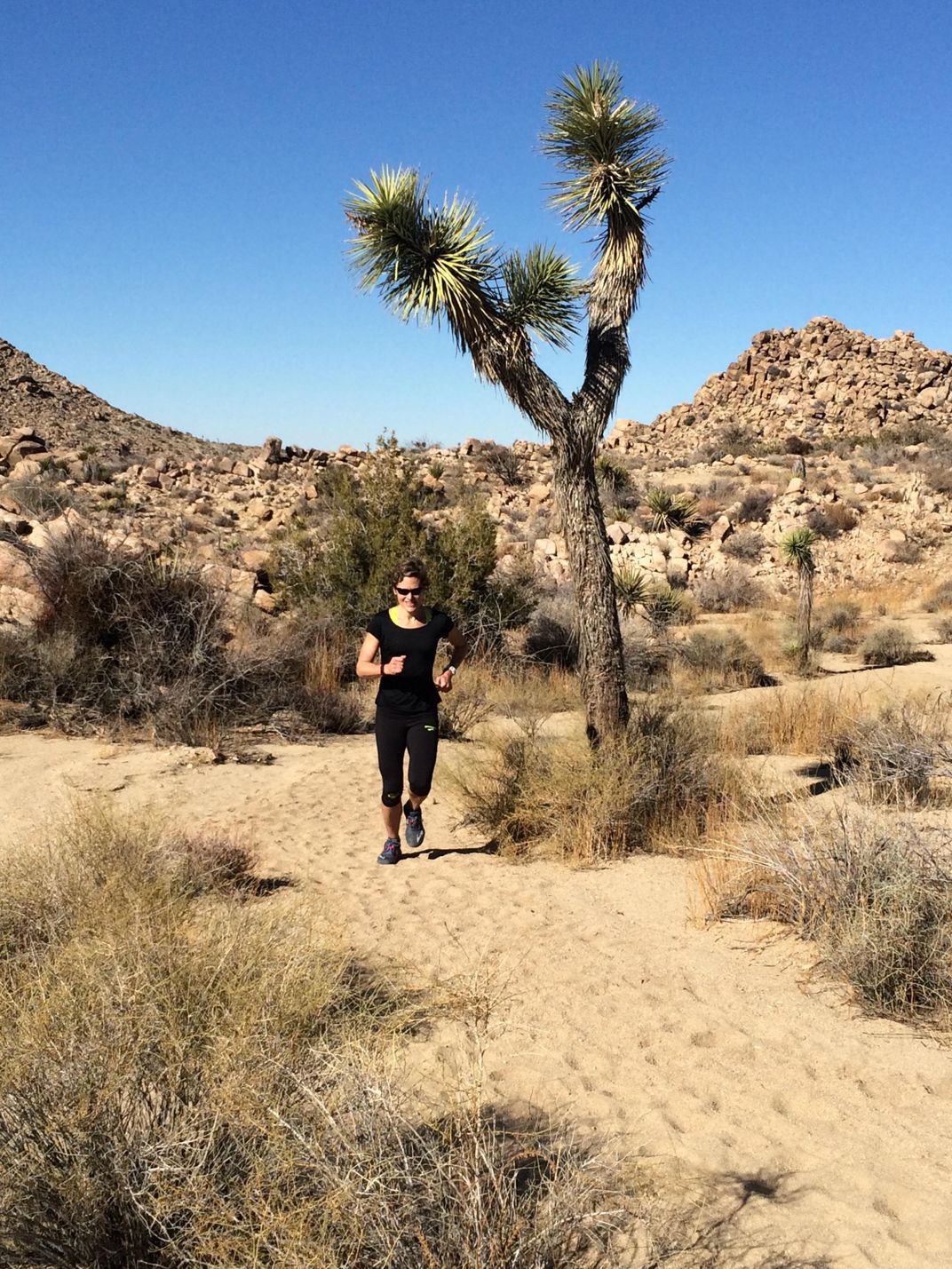 Joshua Tree