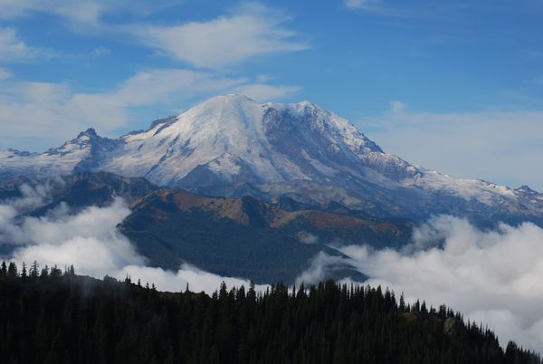 Mt. Rainier above the clouds thumbnail