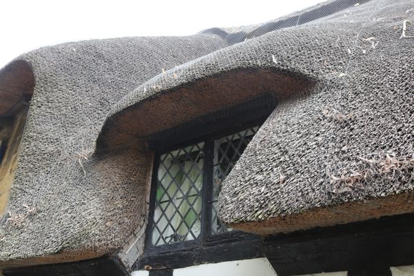 Thatched roof thumbnail