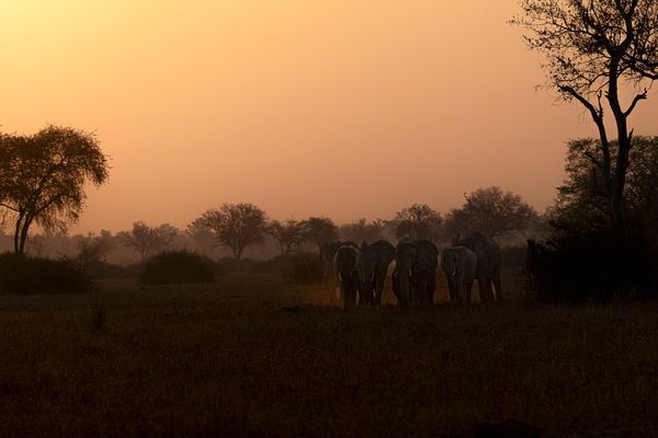 5)South Luangwa Sunrise thumbnail