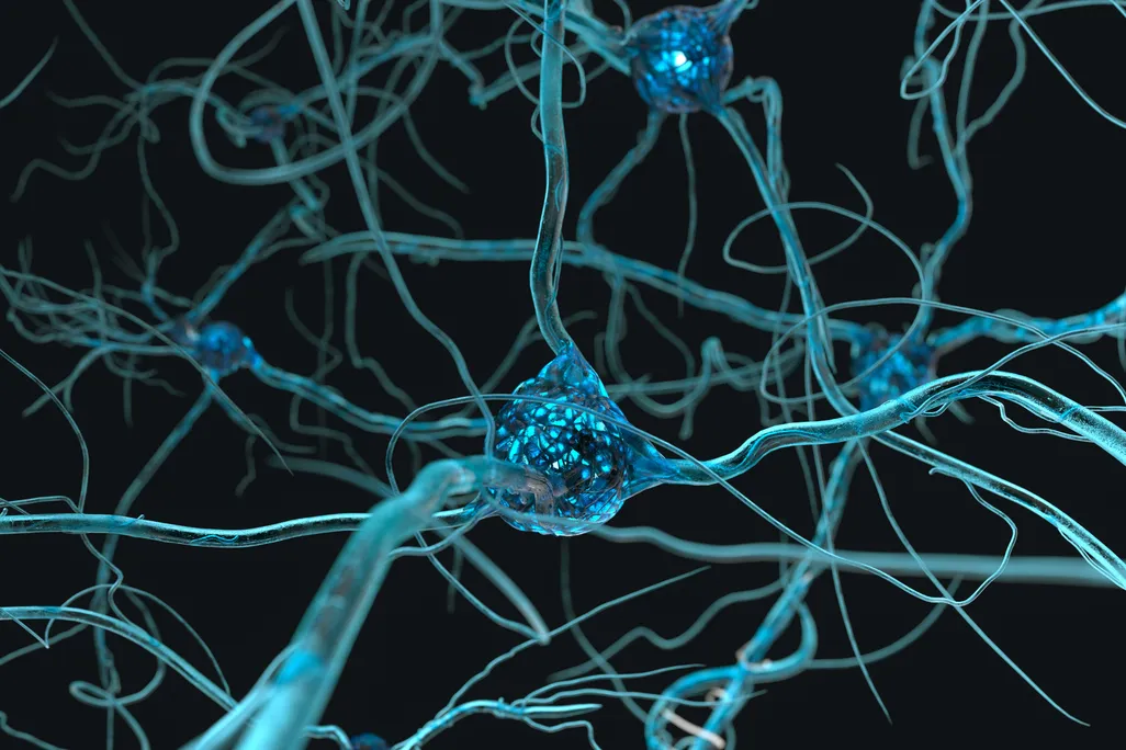 illustration of neurons