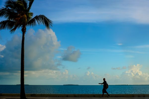 Lonely Traveler thumbnail