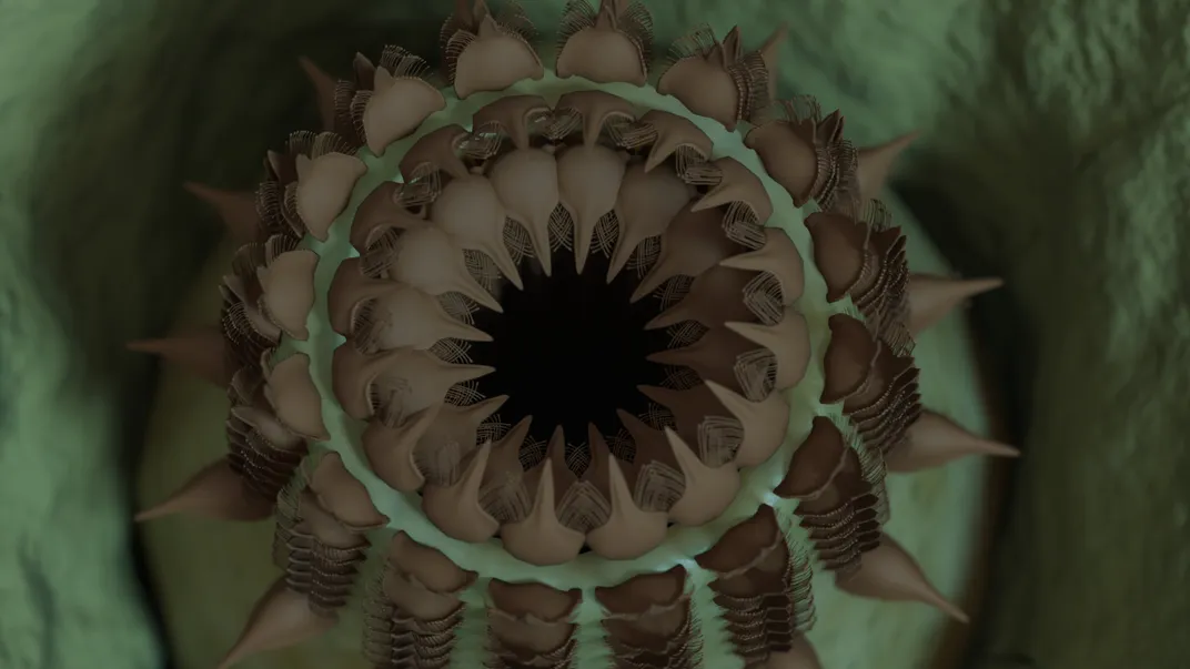 rendition of a worm with circular rows of teeth