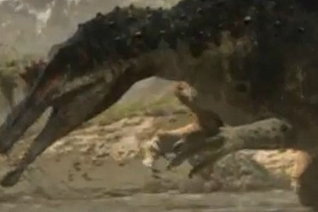 20110929014005dinosaur-planet-thumb.jpg