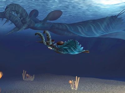 An artist's impression of an adult and juvenile Lyrarapax unguispinus — awww, how adorable!
