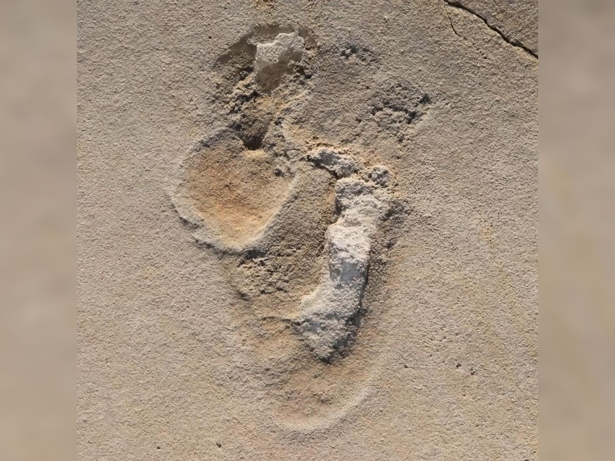 New Research Suggests Human-Like Footprints in Crete Date to 6.05