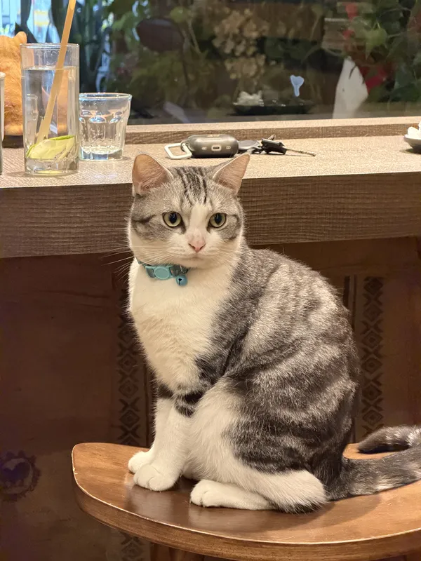 The Cafe Guardian thumbnail