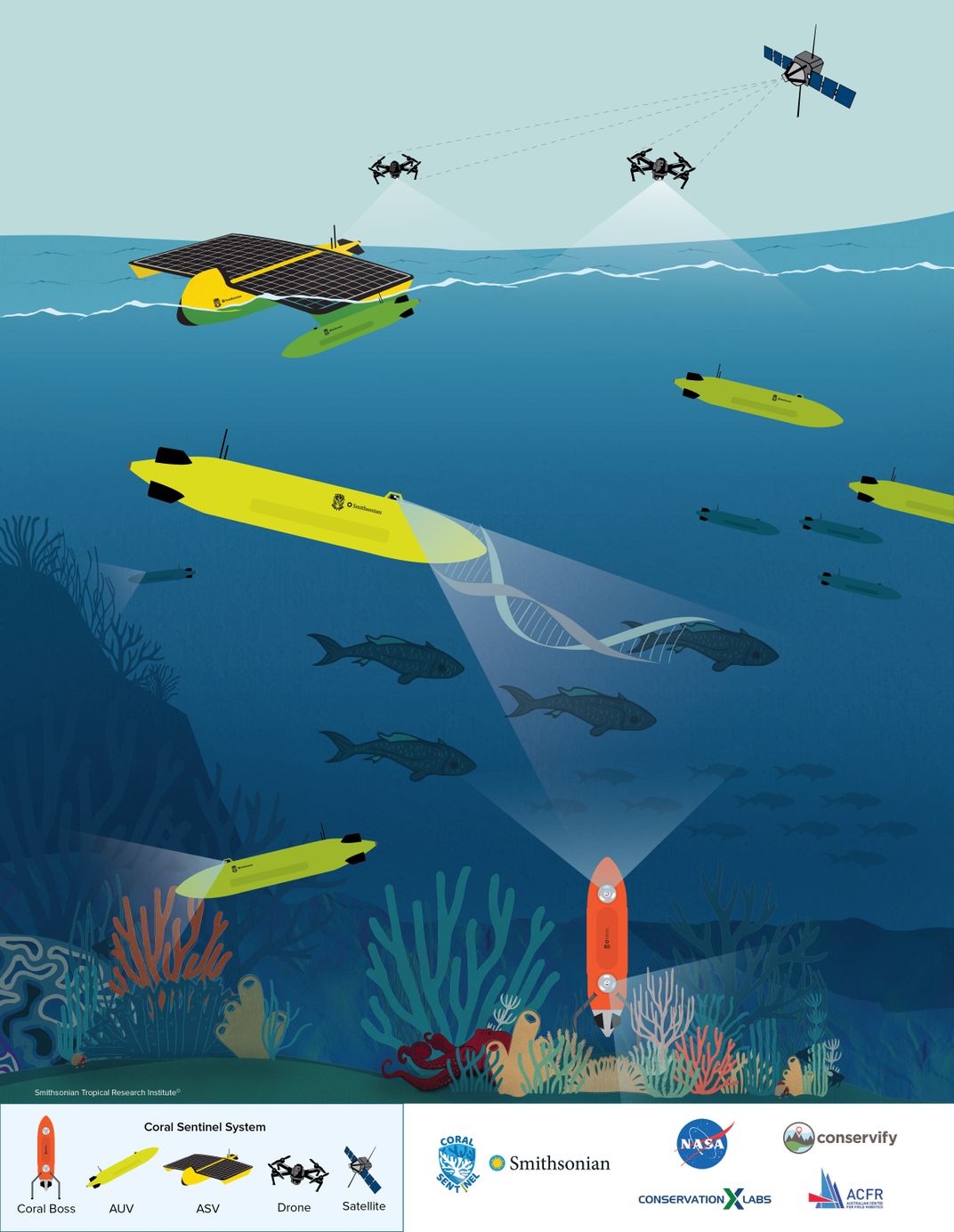 Illustration of underwater robots and drones surveying coral 