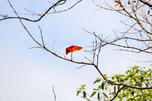 The Season Moves On thumbnail