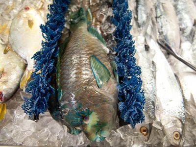 The Super Cao Nguyen supermarket, founded by Vietnamese immigrants in 1979, offers fresh fish to landlocked seafood lovers.