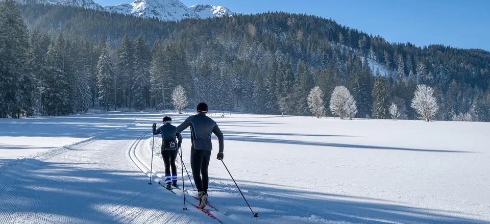  Cross country Alpine skiing 